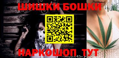 гашик Сланцы