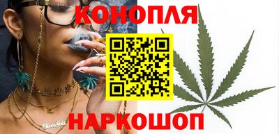 гидра Славянск-на-Кубани